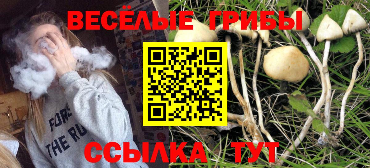 Киселёвск  Alpha PVP СК кристаллы  Вход с VPN  Меф МЯУ МЯУ кристаллы  Метадон  Героин  Каннабис  ГАШИШ  ЭКСТАЗИ  Гашиш  КОКАИН 