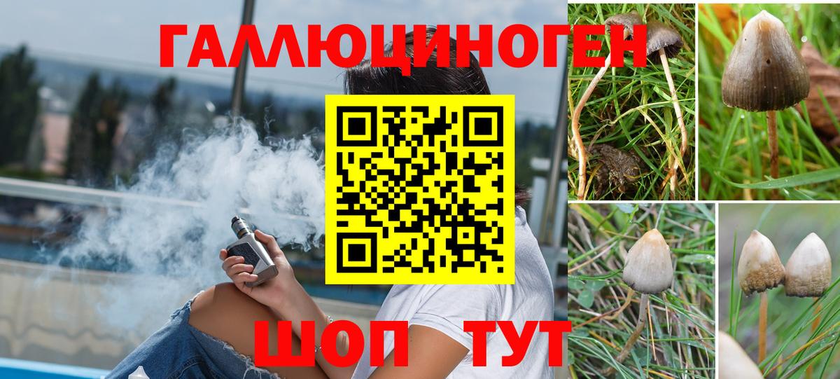 Галлюциногенные грибы мухоморы Киселёвск