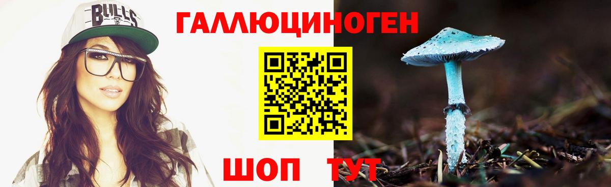 Галлюциногенные грибы Psilocybe  Вход с VPN  где найти наркотики  Киселёвск 